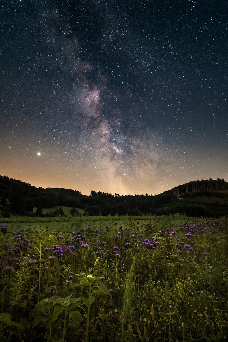 Galactic Portraits