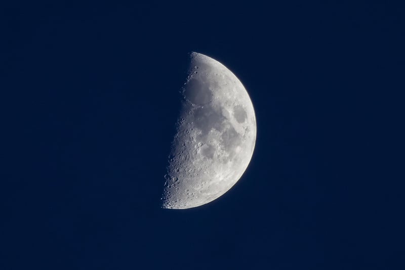 Lunar Love Captures